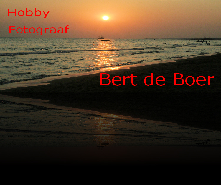 Bert de Boer